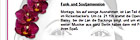 Webdesign   Internetagentur